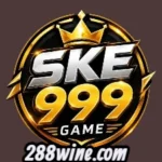 SKE999 Game