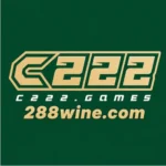 C222 Game